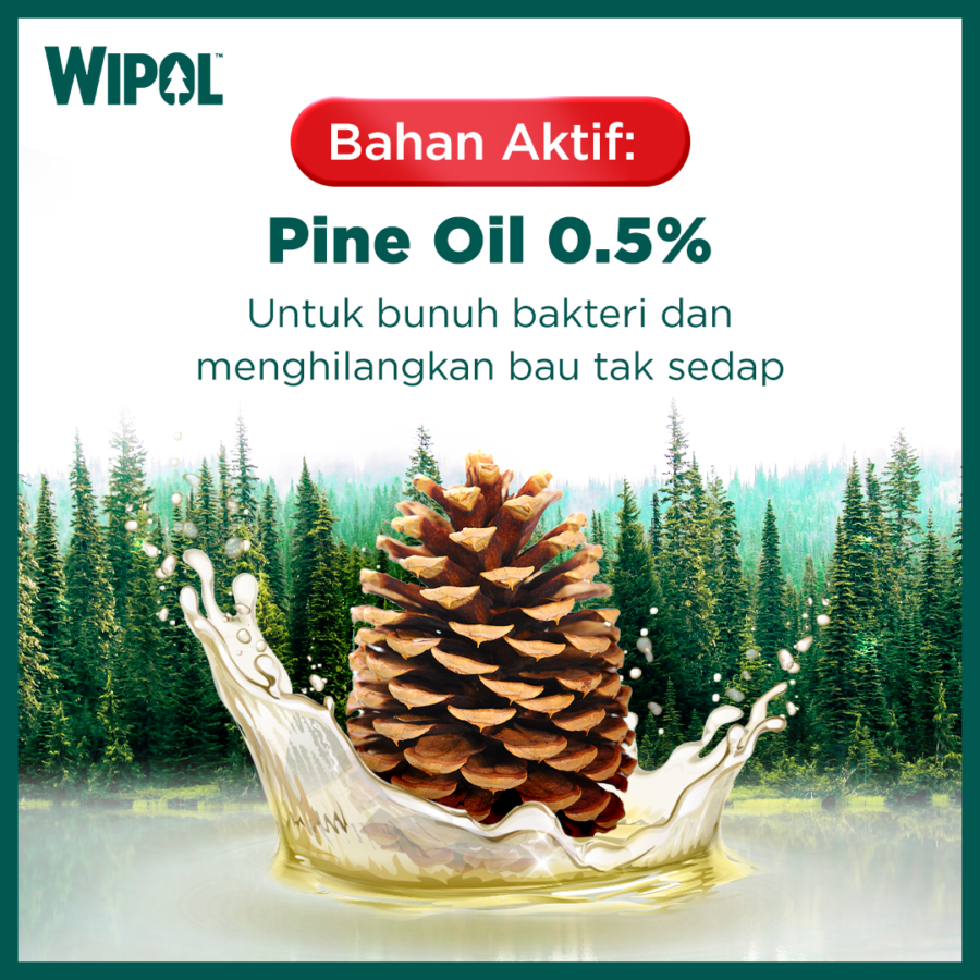 Bundle Isi 2 Wipol Cemara Karbol Lantai 730gram