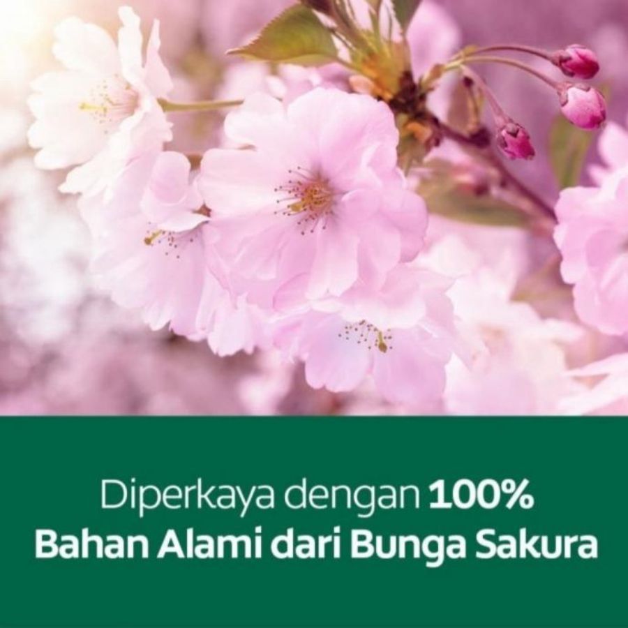 Palmolive Naturals Cherry Blossom Body Wash Bottle Pump 1liter