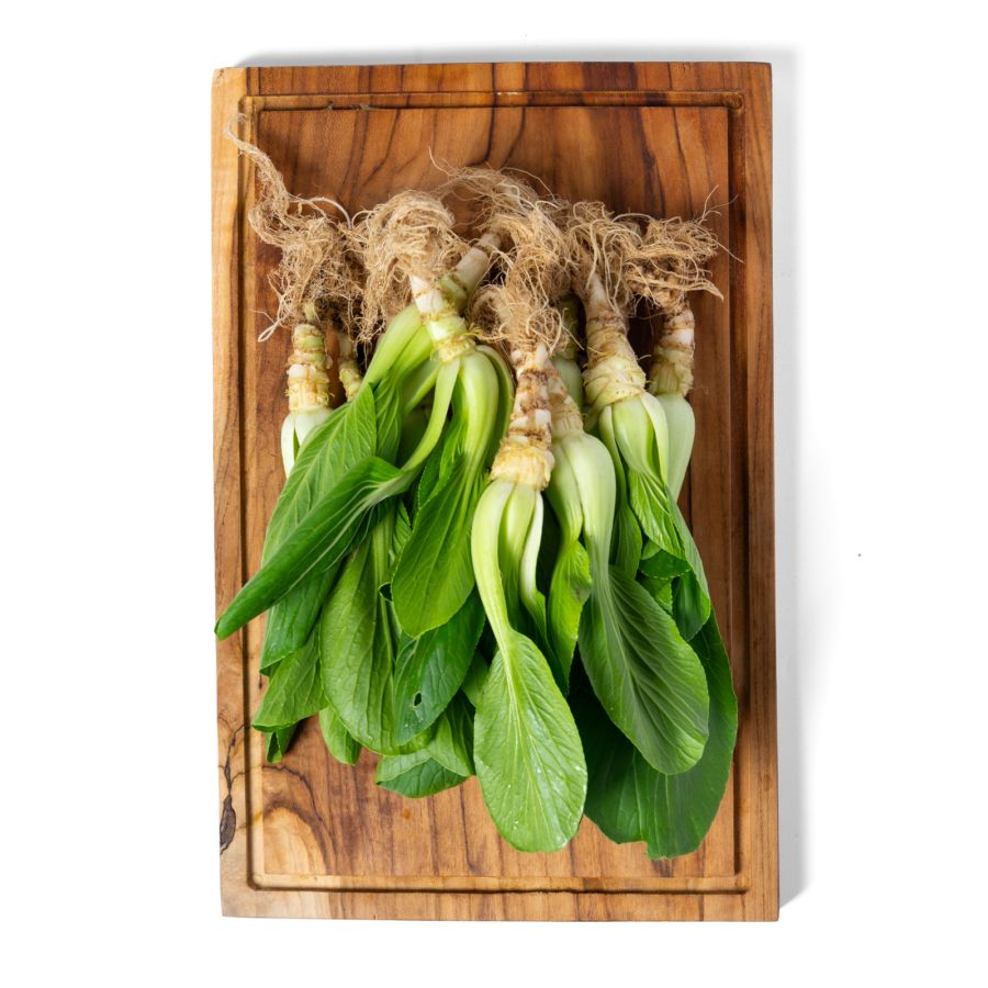 Baby Pakcoy Organik 200gram