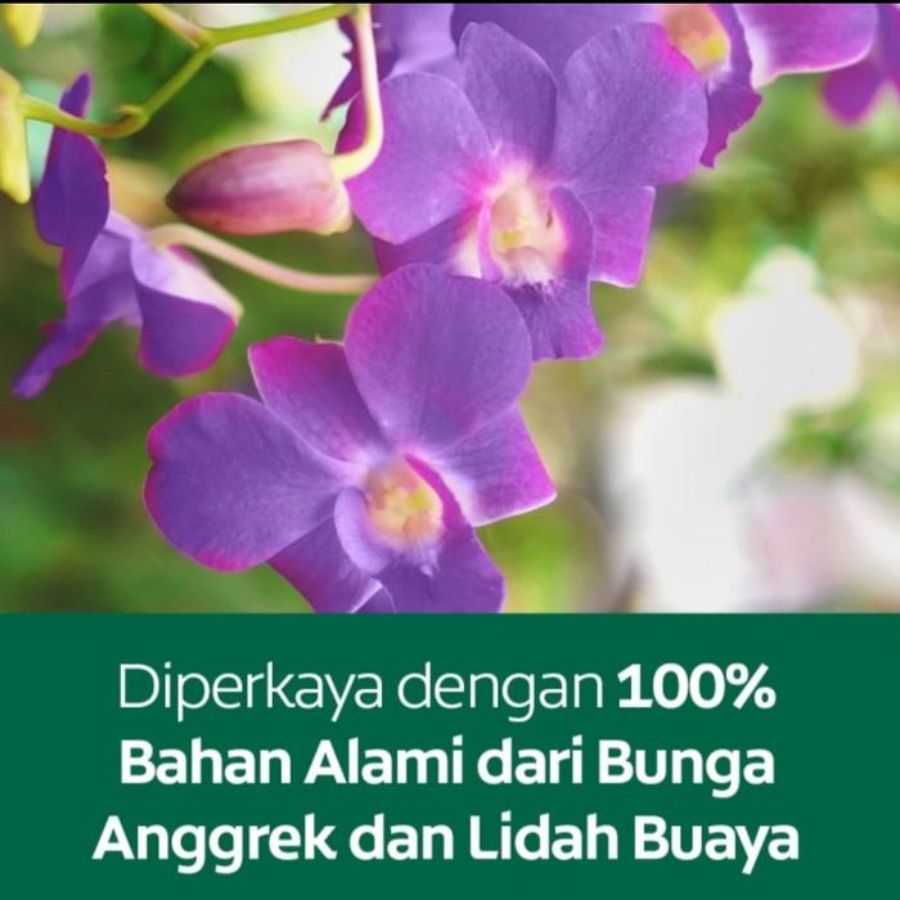 Palmolive Naturals Orchid Body Wash Bottle Pump 1liter