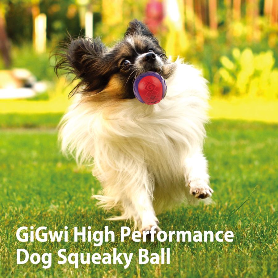 Gigwi Ball Squeaker Purple Red Mainan Bola Anjing Size S 1pcs