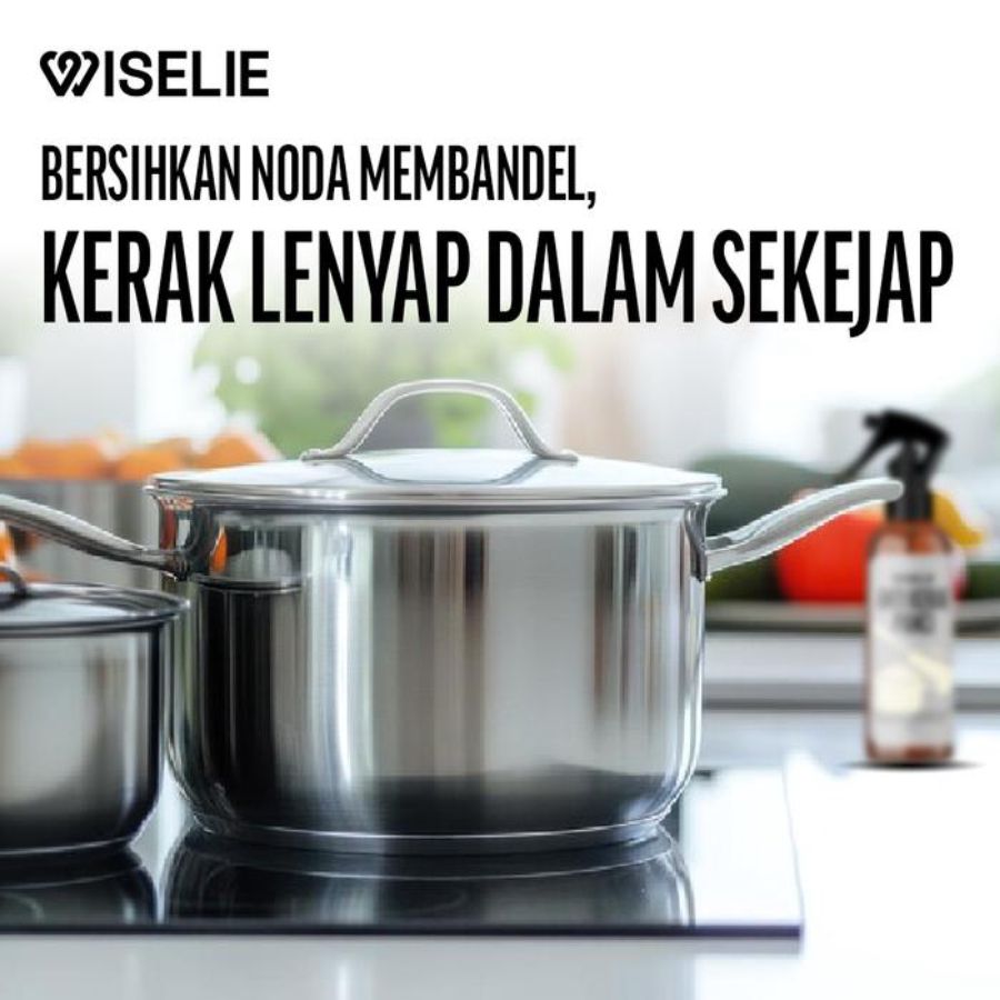 Wiselie Anti Noda Kerak Panci Spray 250ml
