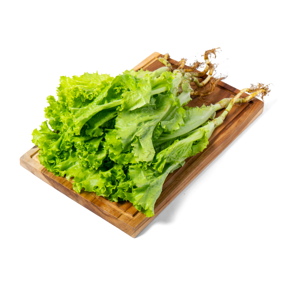 Selada Keriting Organik 200gram