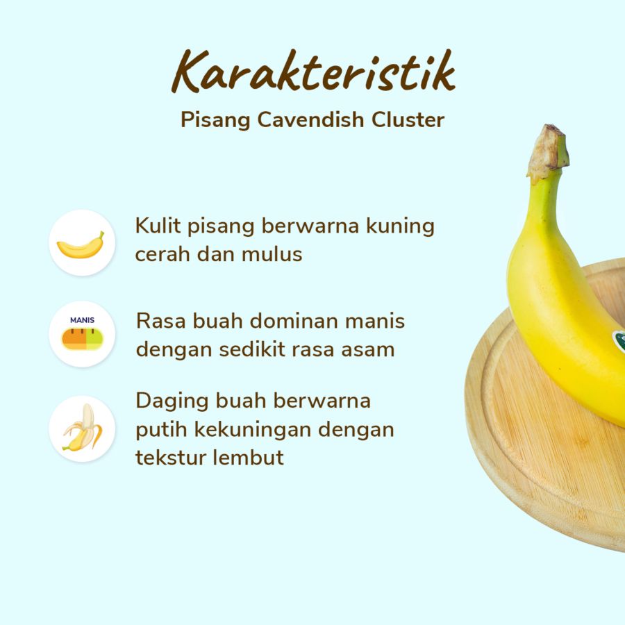 Pisang Cavendish 1pcs