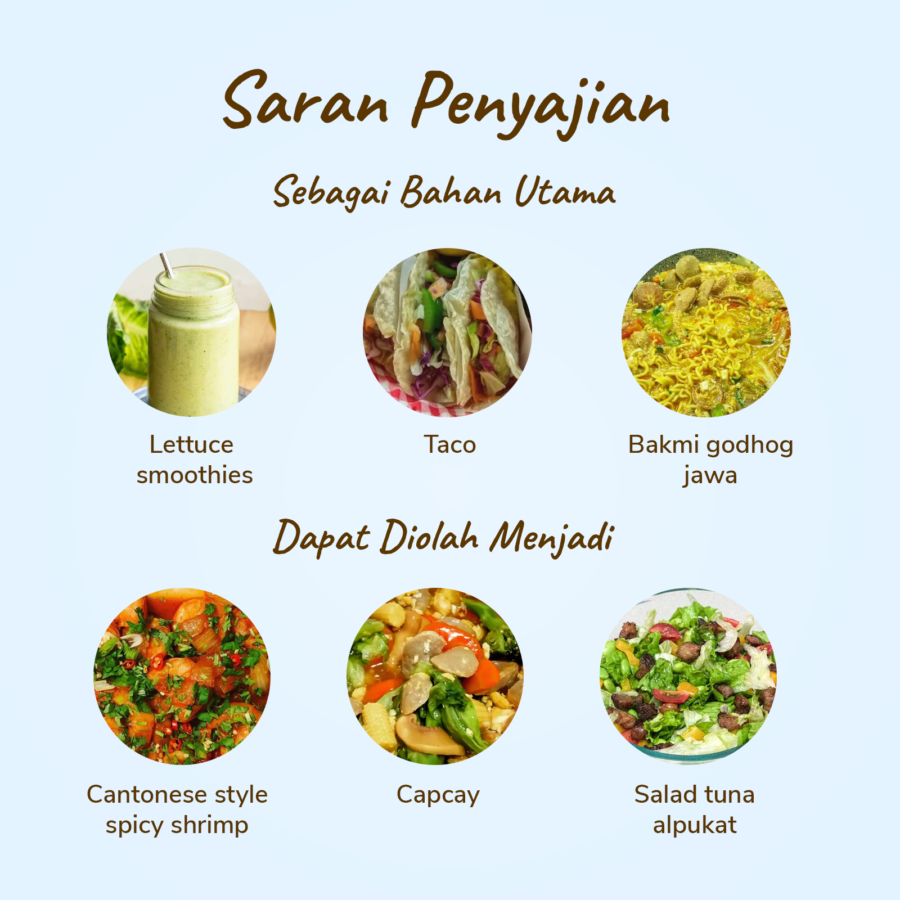 Lettuce Head Organik 300-400gram