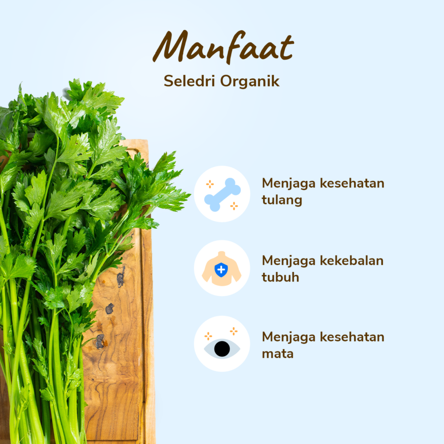 Seledri Stik Organik 300gram
