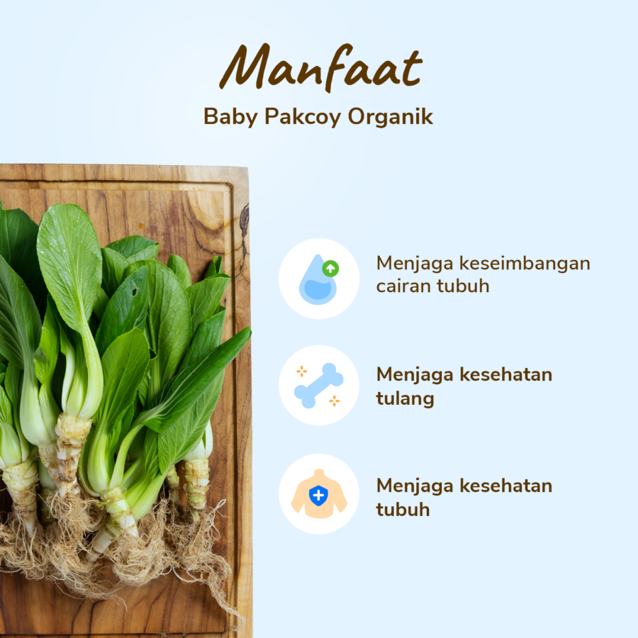 Baby Pakcoy Organik 200gram