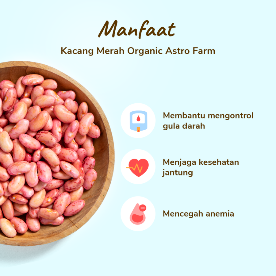 Kacang Merah Organik 150gram