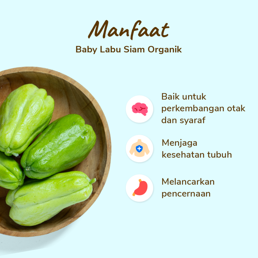 Baby Labu Siam Organik 250gram