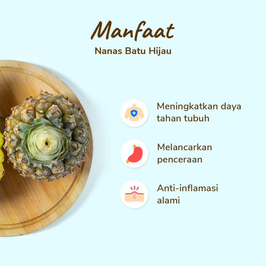 Nanas Batu Hijau Astro Farm 1pcs