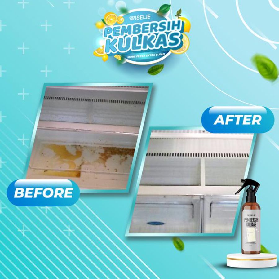 Wiselie Pembersih Kulkas 250ml