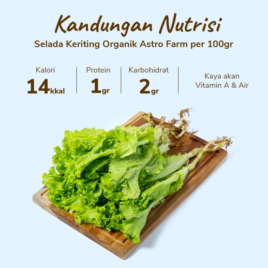 Selada Keriting Organik 200gram
