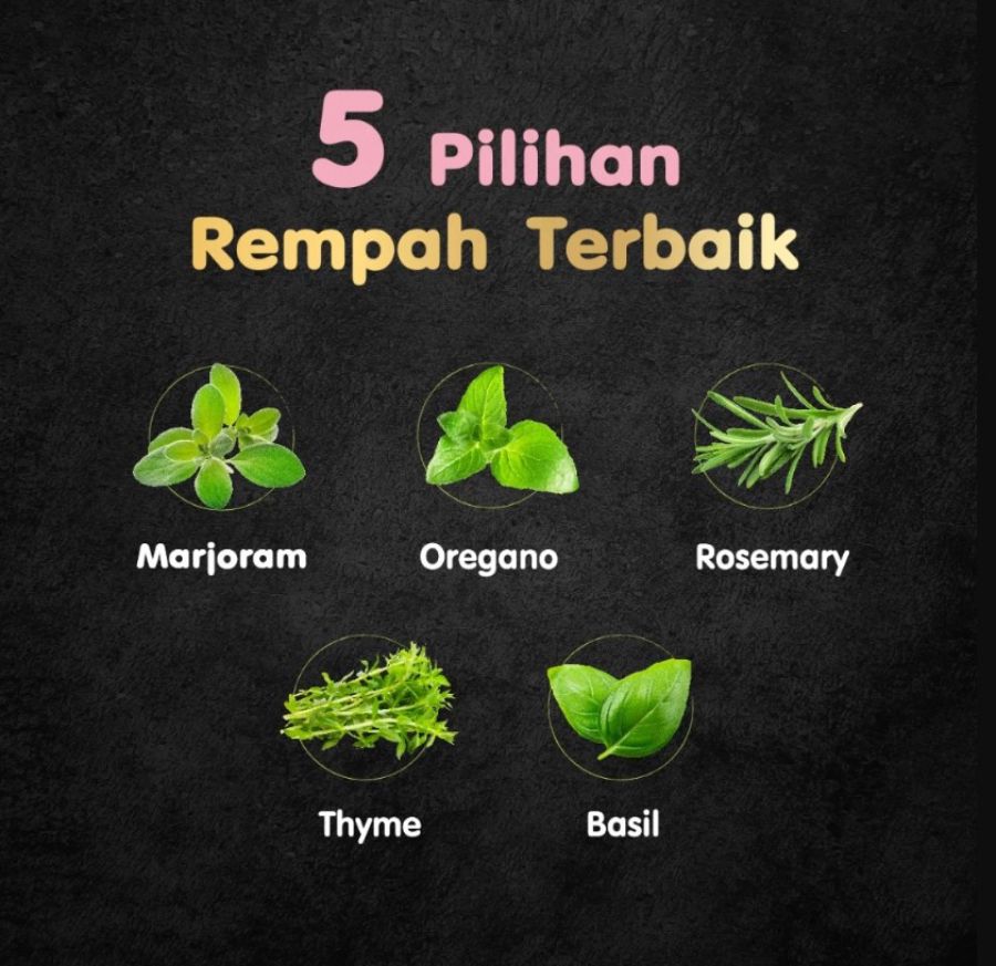 CESAR Naturally Crafted Lamb, Carrot & Sweet Potato Wet Dog Food 60gram