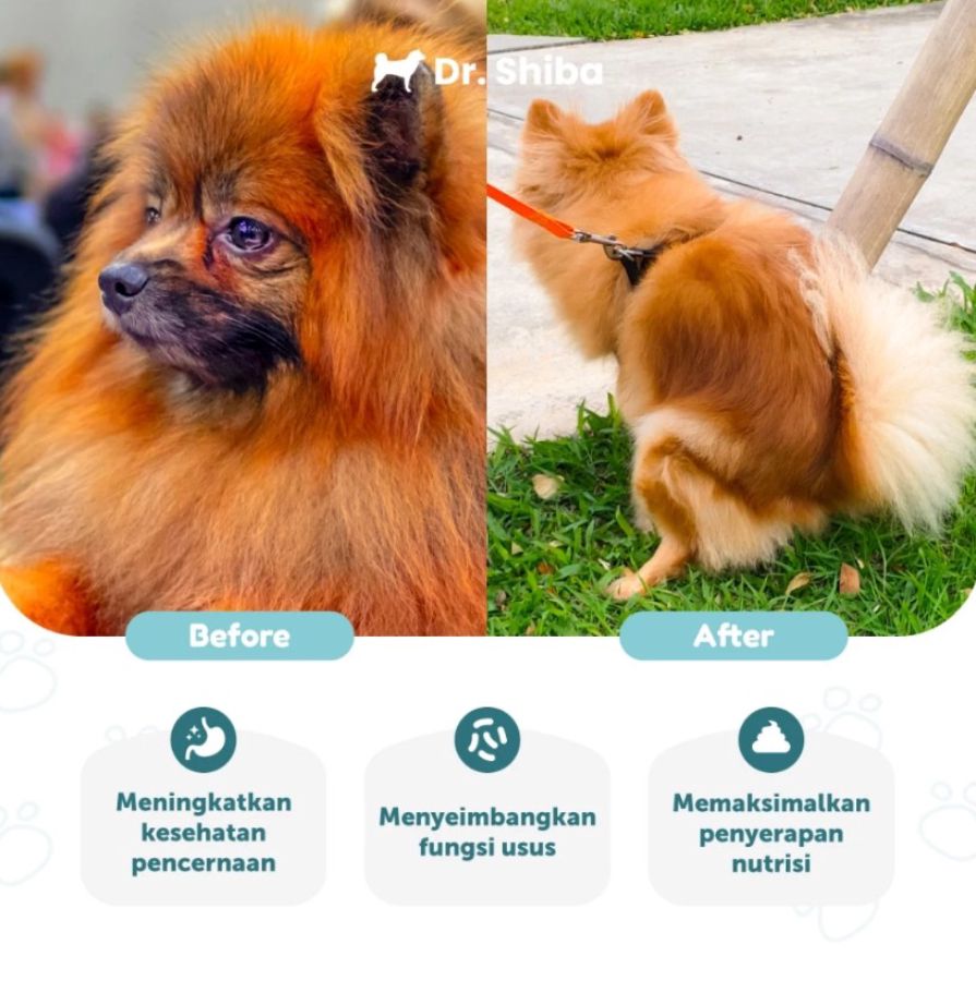 Dr. Shiba Happy Tummy Beef Flavour Dog Suplement Treats 250gram