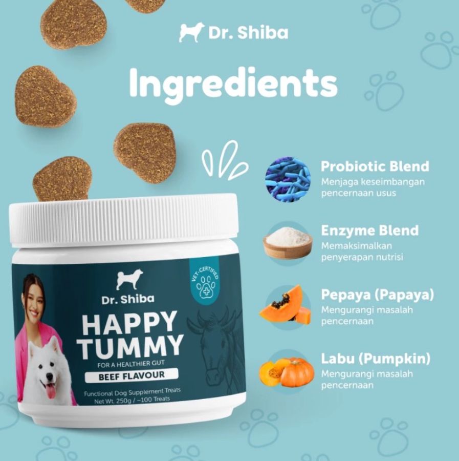 Dr. Shiba Happy Tummy Beef Flavour Dog Suplement Treats 250gram