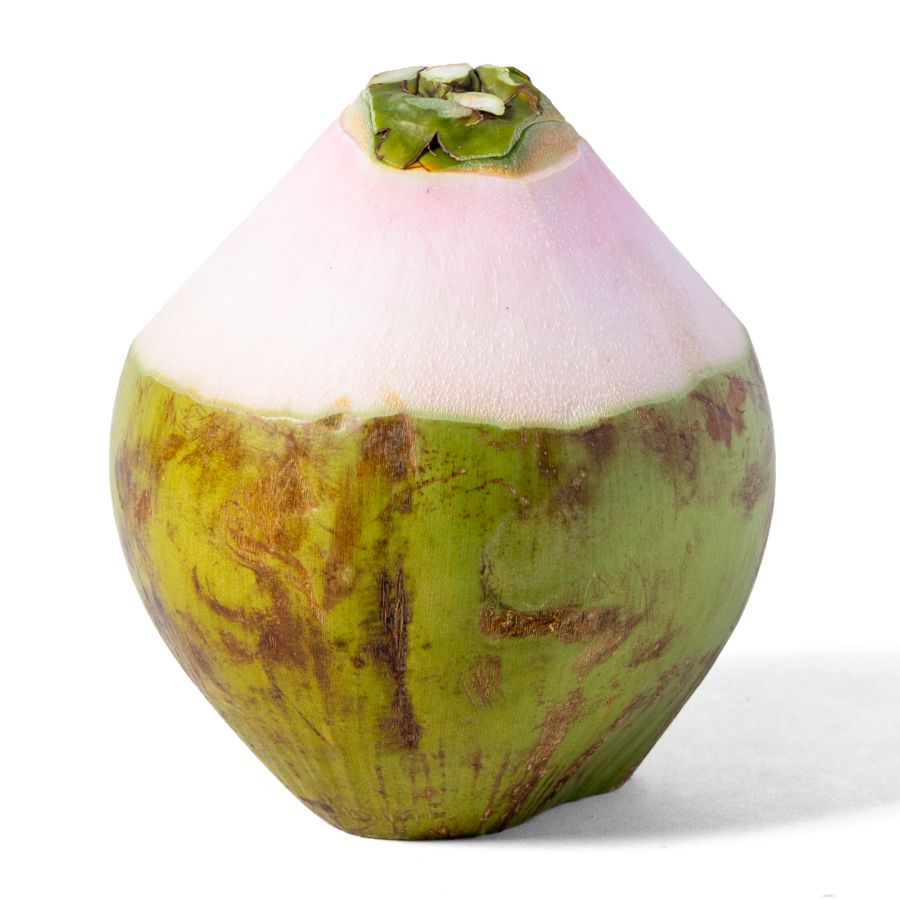 Kelapa Ijo Kupas Astro Farm 1pcs