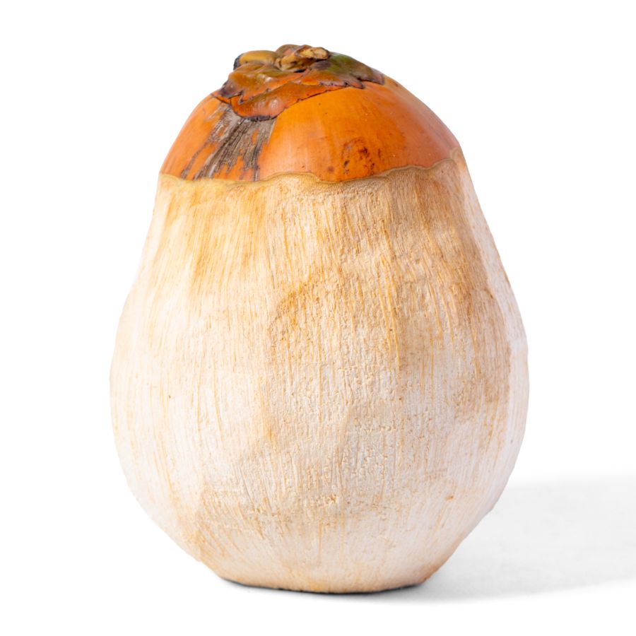 Kelapa Kopyor Astro Farm 1pcs