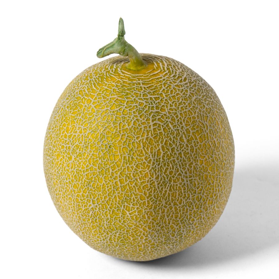 Melon Galia Hidroponik Astro Farm 1-2kg