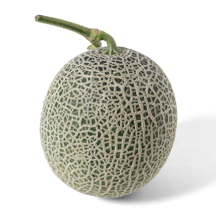 Melon Jepang Hareta Hidroponik Astro Farm 900-1500gram