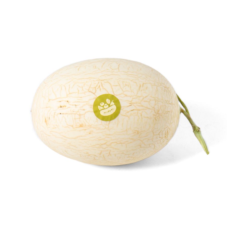Melon Sweet Nett Hidroponik Astro Farm 1pcs