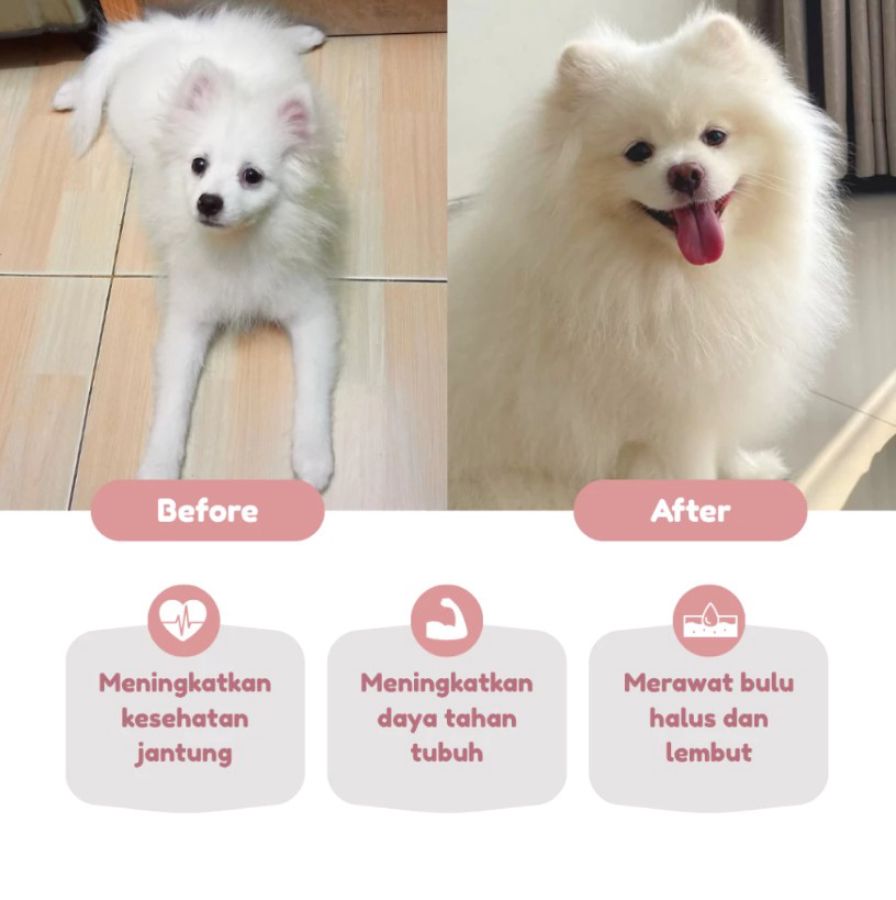 Dr. Shiba Salmon Oil Suplemen Anjing dan Kucing 200ml