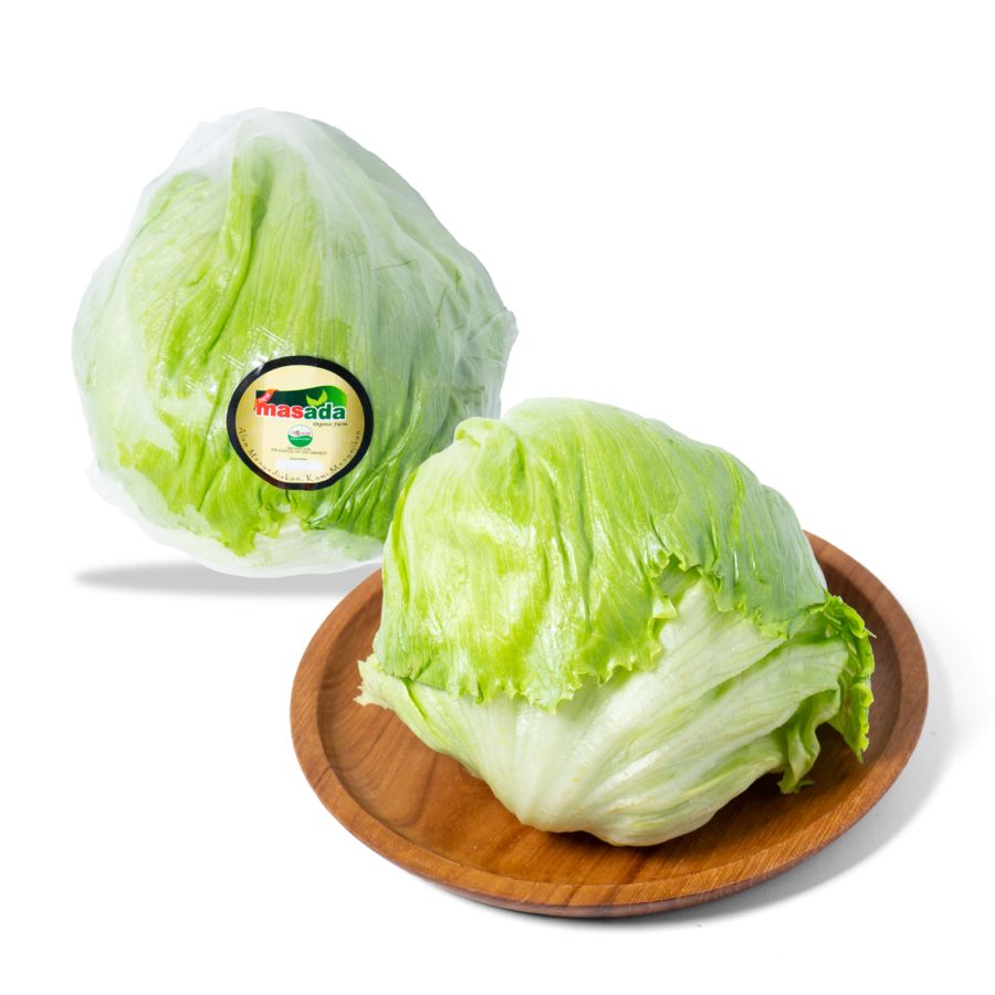 Lettuce Head Organik 300-400gram