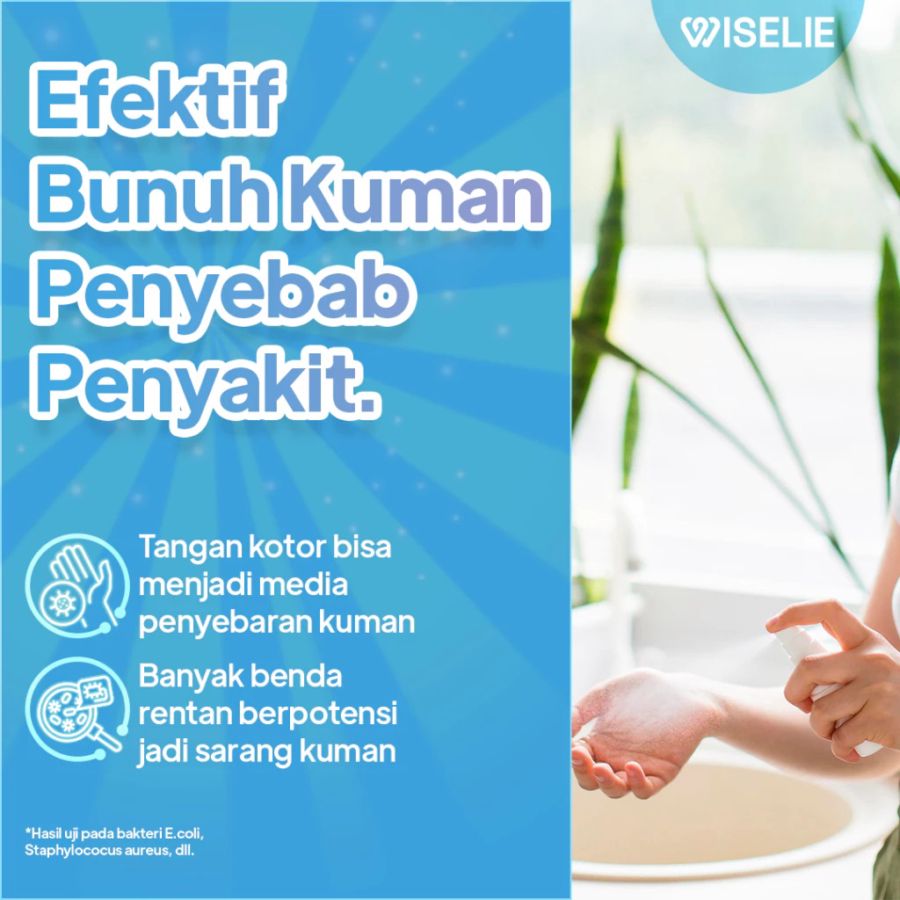 Wiselie Hand Sanitizer Antiseptic 100ml