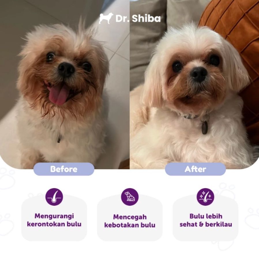 Dr. Shiba Silky Fur Beef Flavour Dog Supplement 250gram