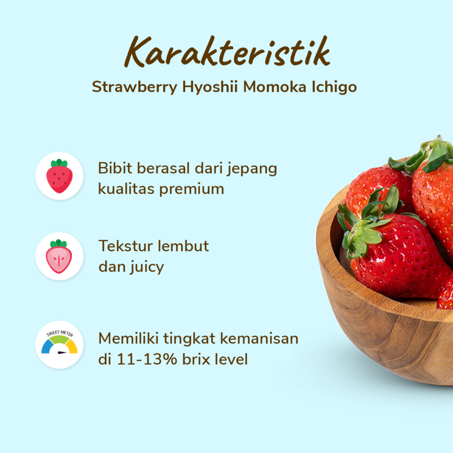 Hyoshii Strawberry Premium Momoka Ichigo 6pcs