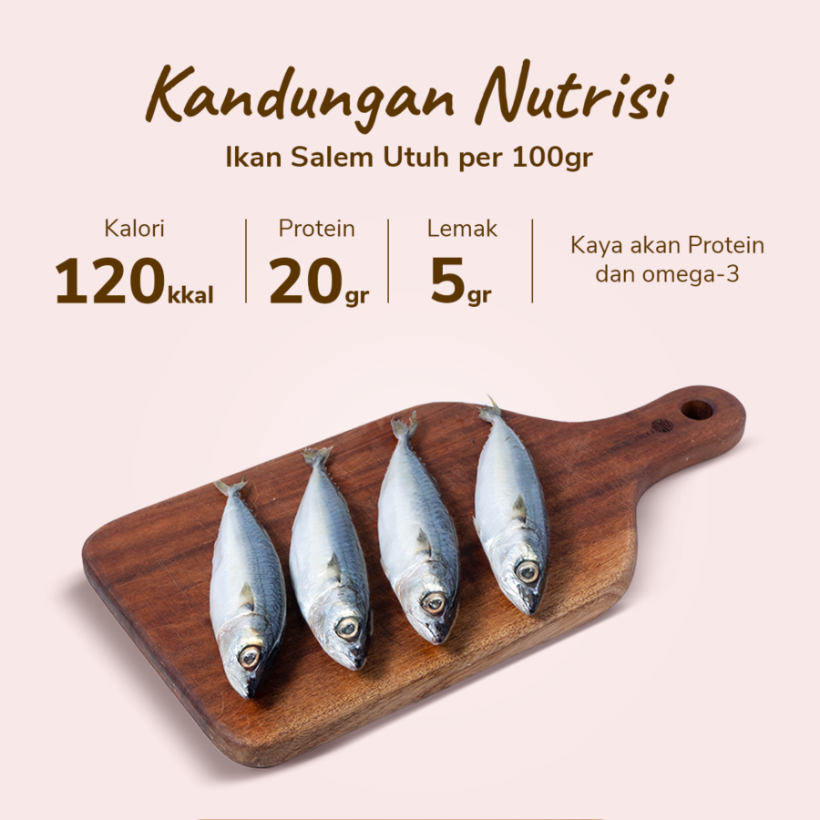 Ikan Salem Utuh 400-500gram