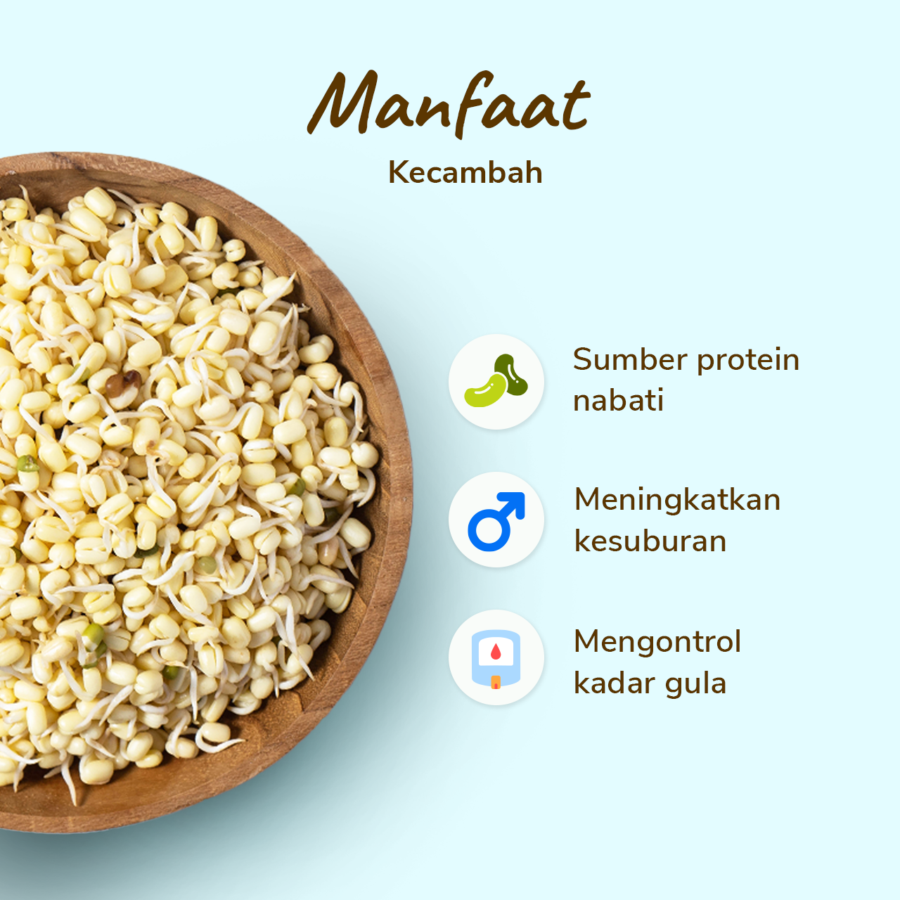 Sufarm Kecambah 100gram