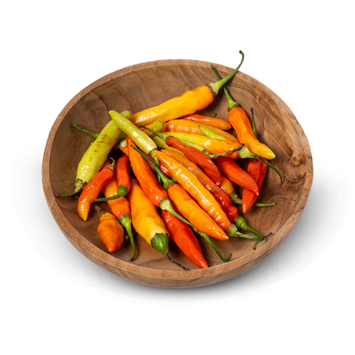 Cabe Merah Rawit Ekonomis Astro Farm