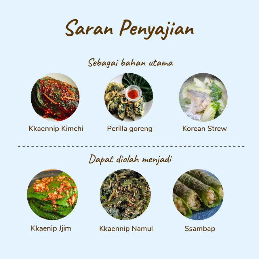 Daun Perilla/Wijen Astro Farm 50gram
