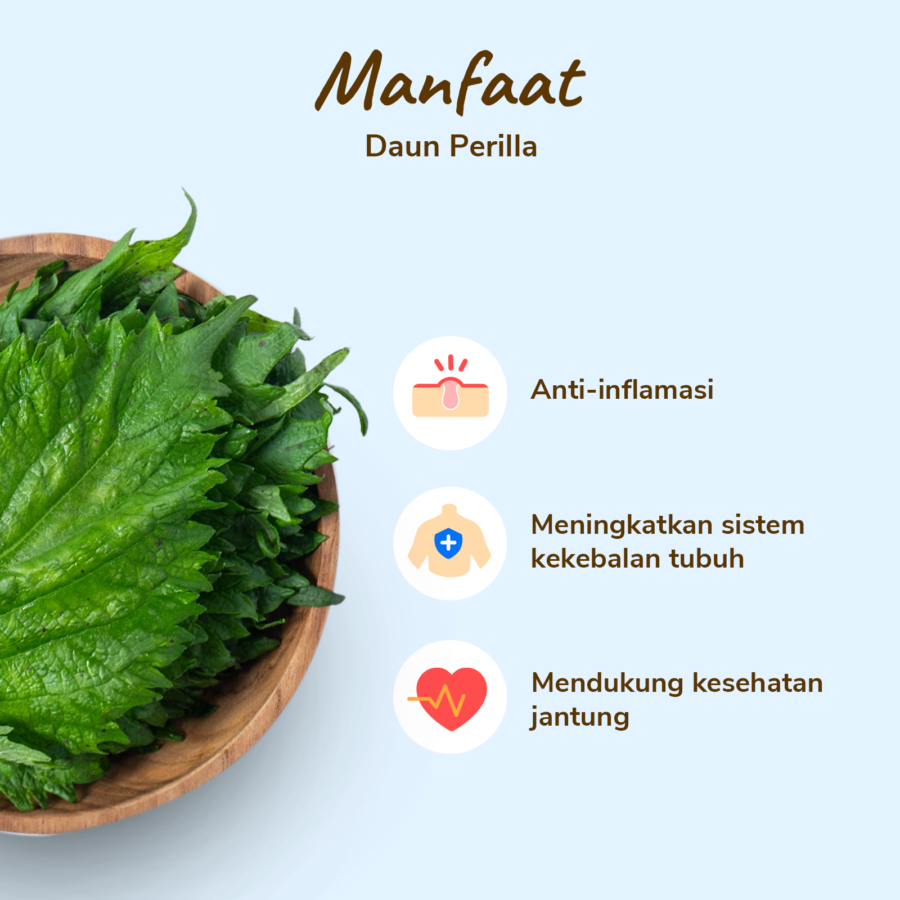 Daun Perilla/Wijen Astro Farm 50gram