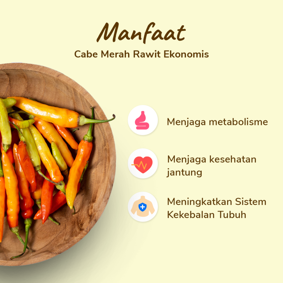 Cabe Merah Rawit Ekonomis Astro Farm 100gram
