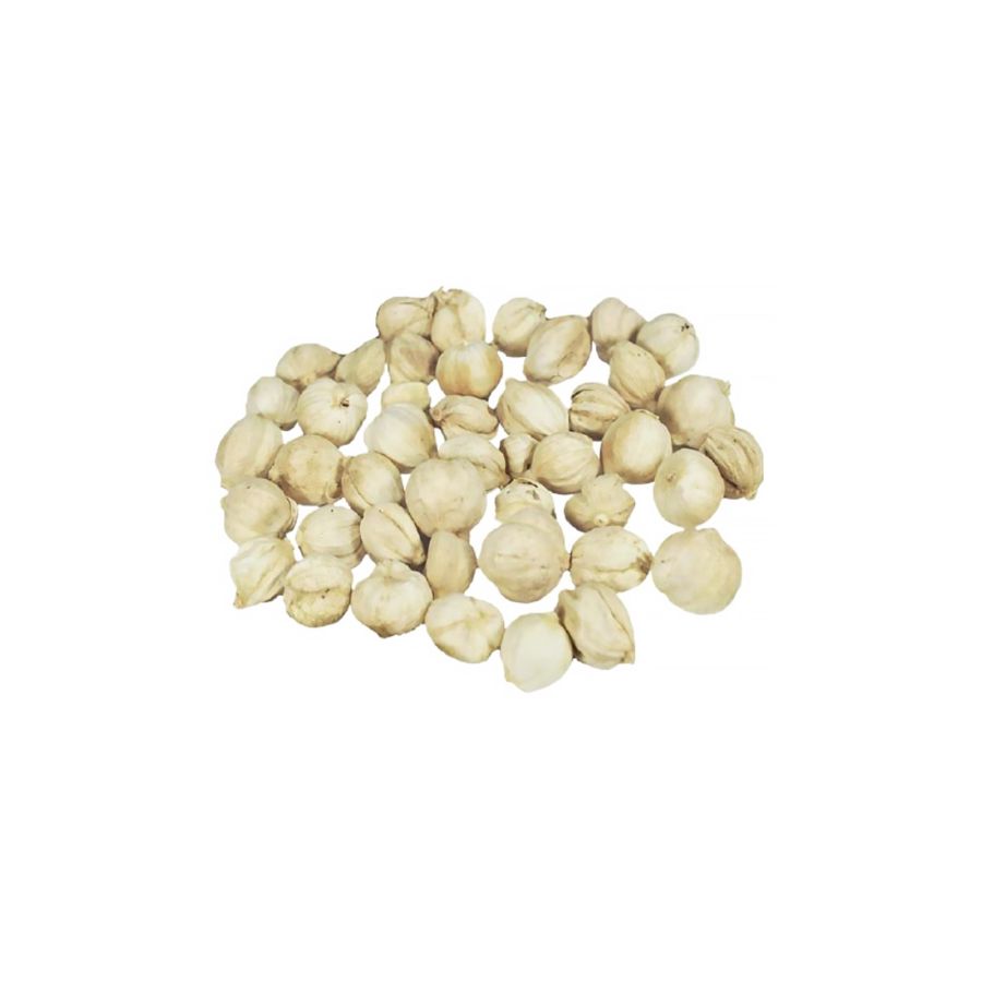 Kapulaga Astro Farm 50gram
