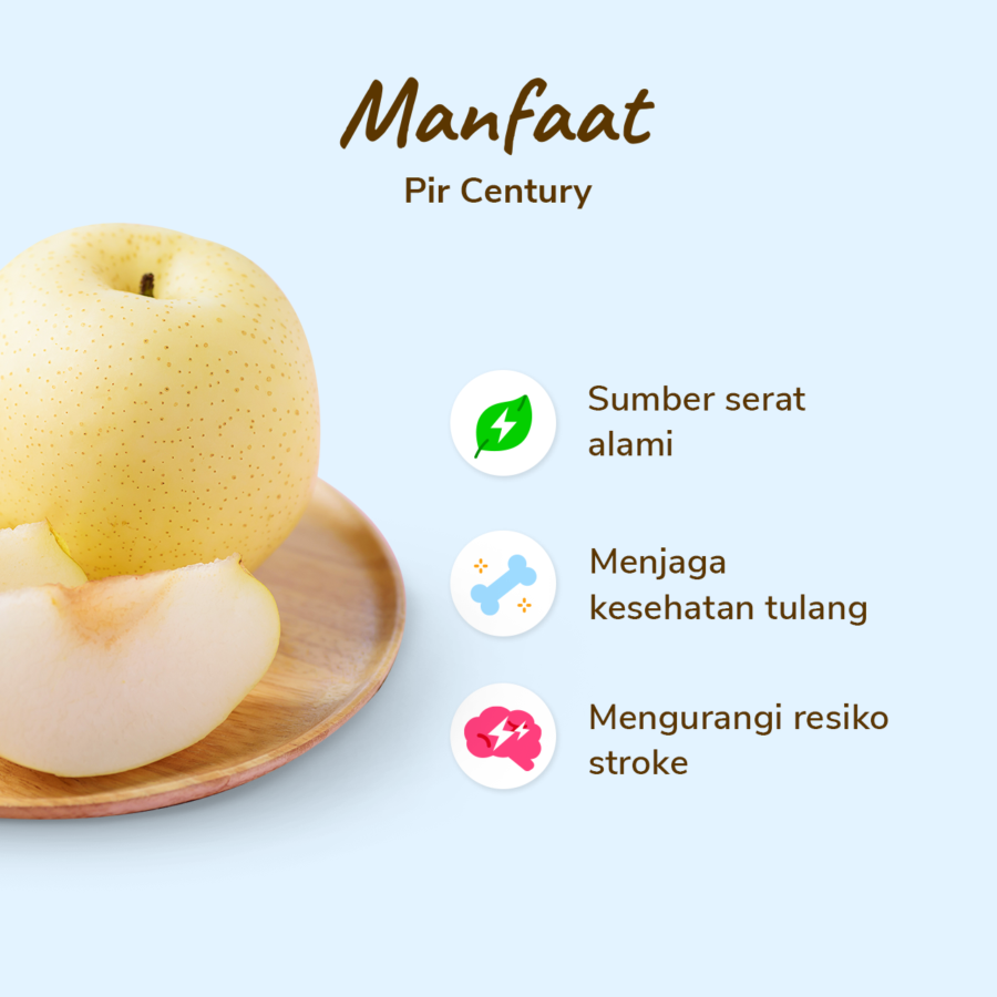Pear Century Astro Farm pack 2-3 pcs 450-500 gram