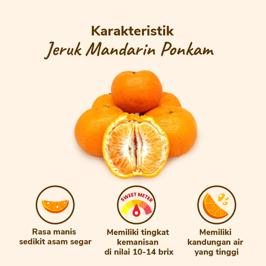 Jeruk Mandarin Ponkam Less Seed Astro Farm pack 2-3 pcs 400-500 gram