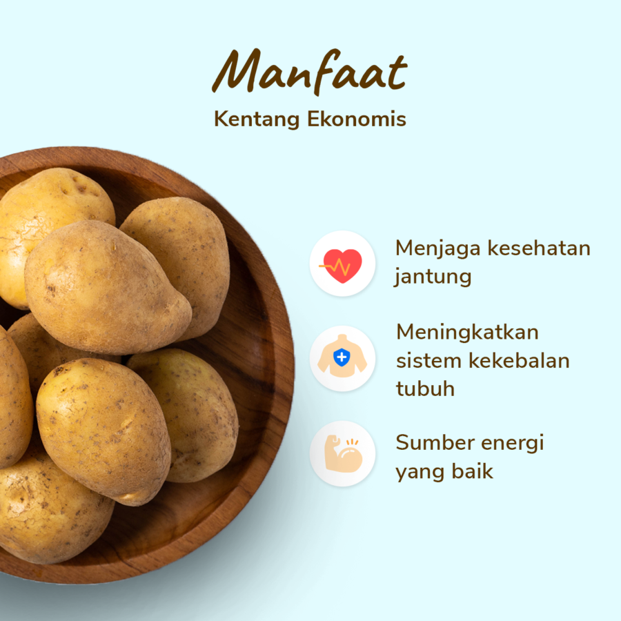 Kentang Ekonomis Astro Farm 500gram
