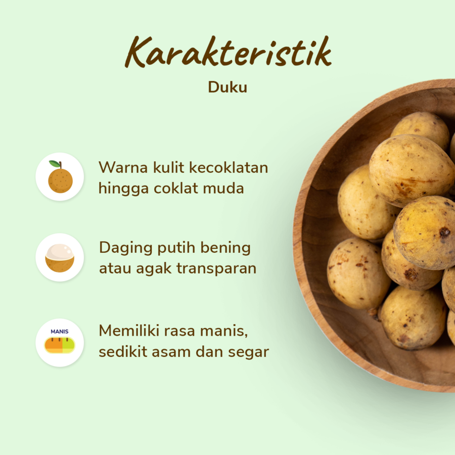 Duku Astro Farm 450-550gram