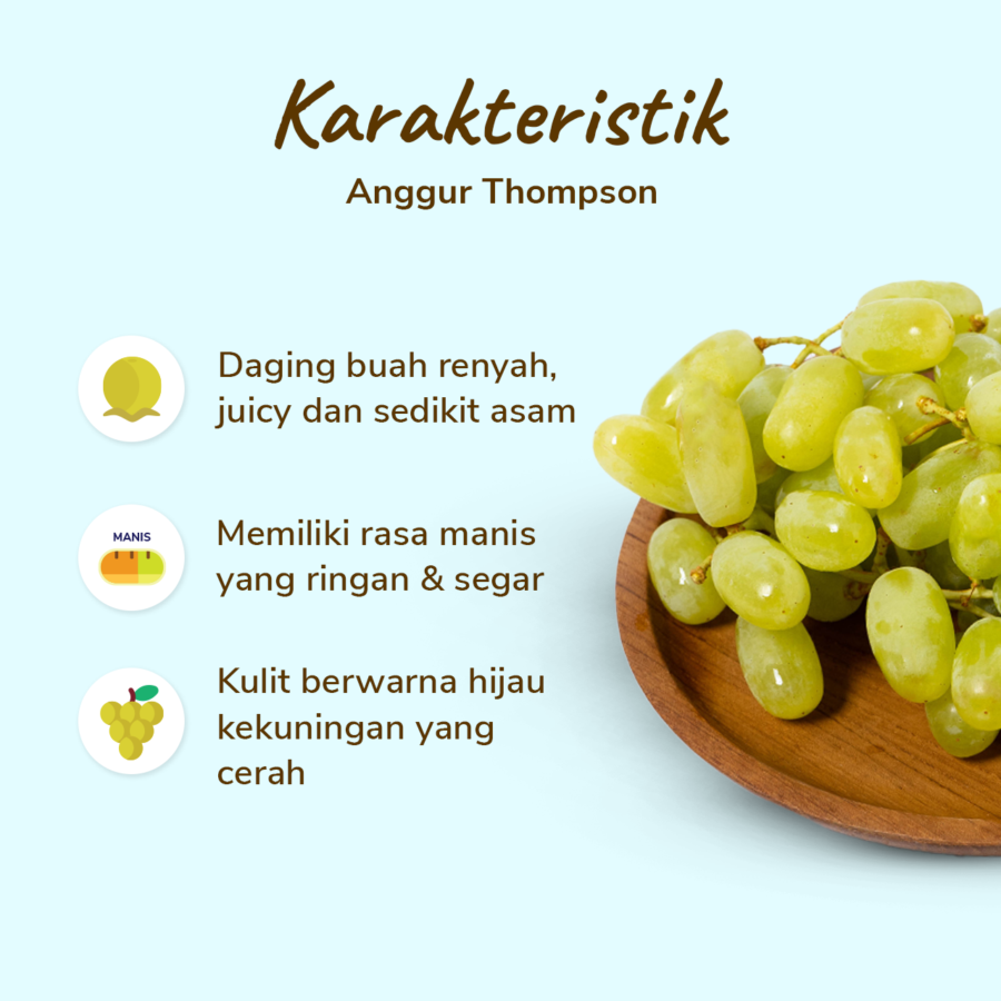 Anggur Thompson Astro Farm 500gram