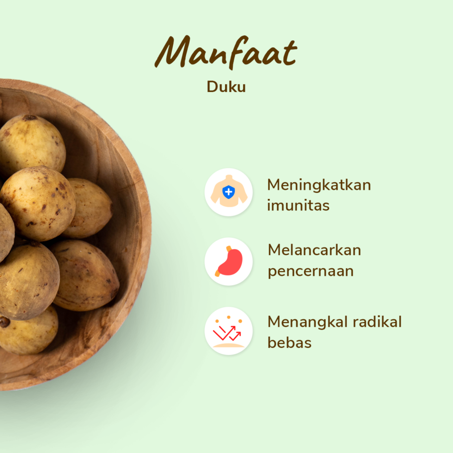 Duku Astro Farm 450-550gram