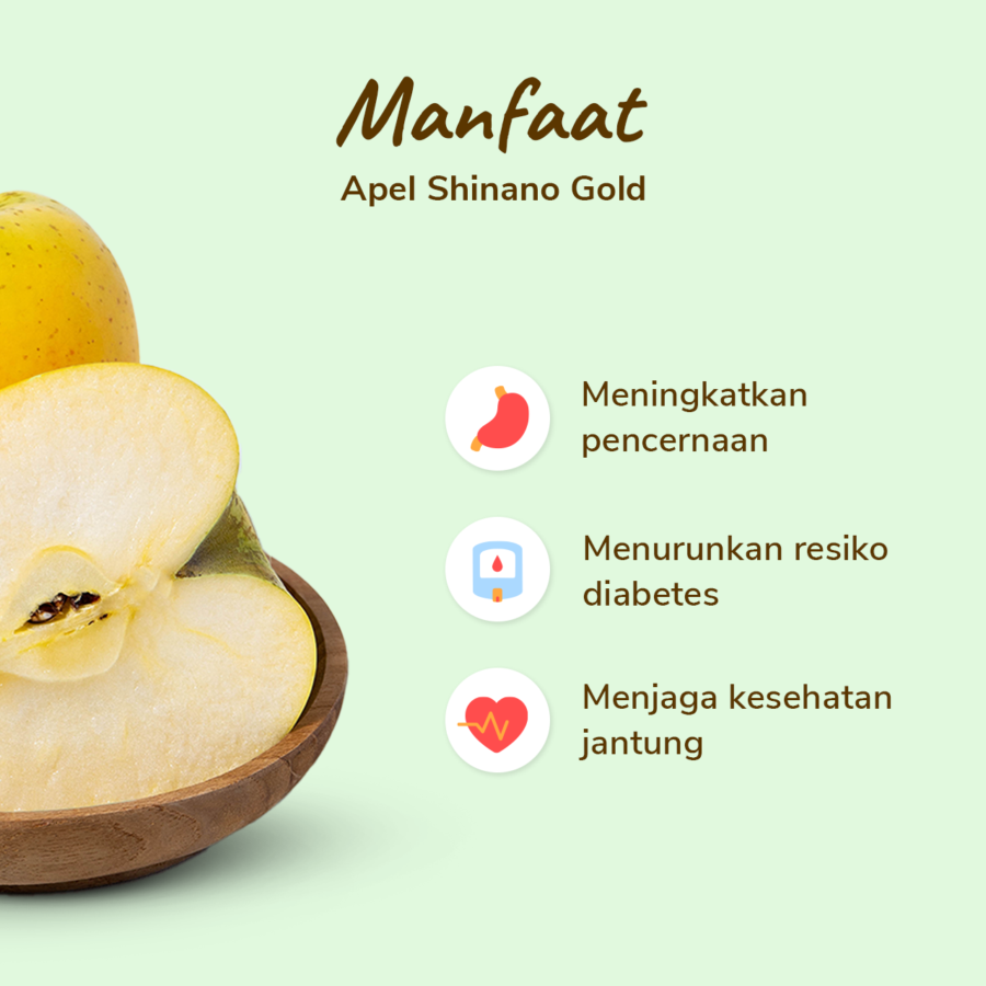 Apel Shinano Gold Astro Farm 1 pcs 420-500 gram 1pcs