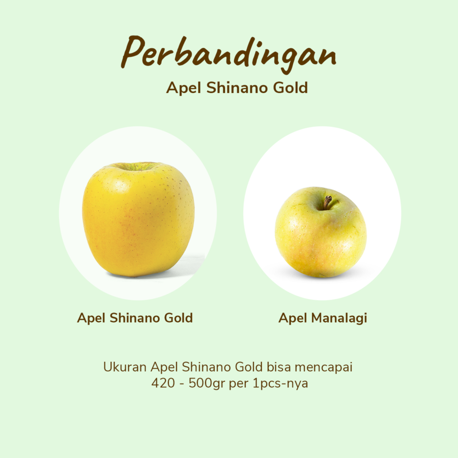 Apel Shinano Gold Astro Farm 1 pcs 420-500 gram 1pcs