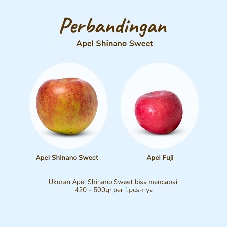 Apel Shinano Sweet Astro Farm 1 pcs 420-500 gram