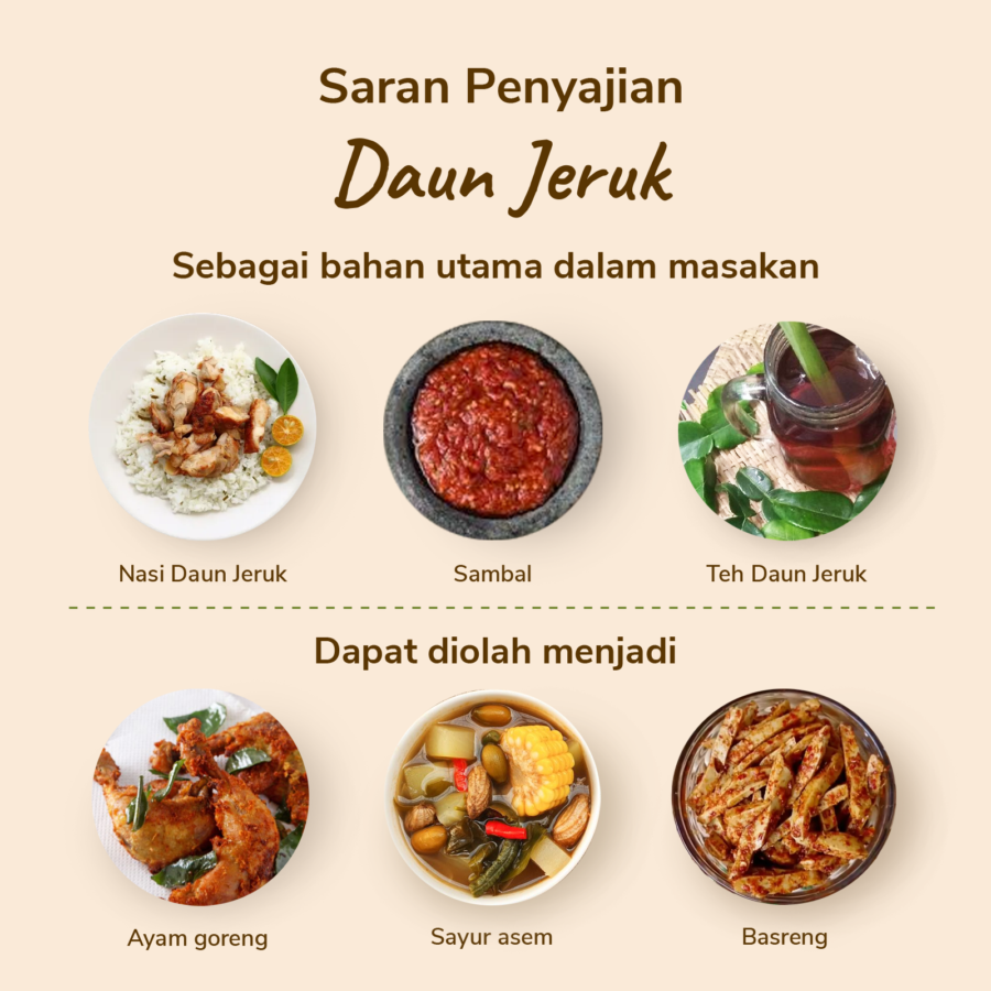 Daun Jeruk Astro Farm 10gram