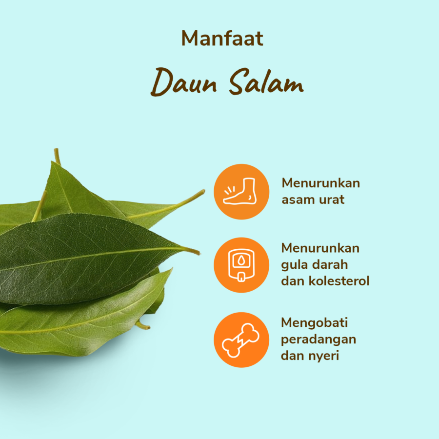 Daun Salam Astro Farm 10gram