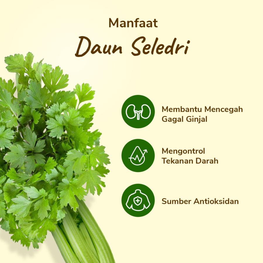 Daun Seledri Astro Farm 100gram