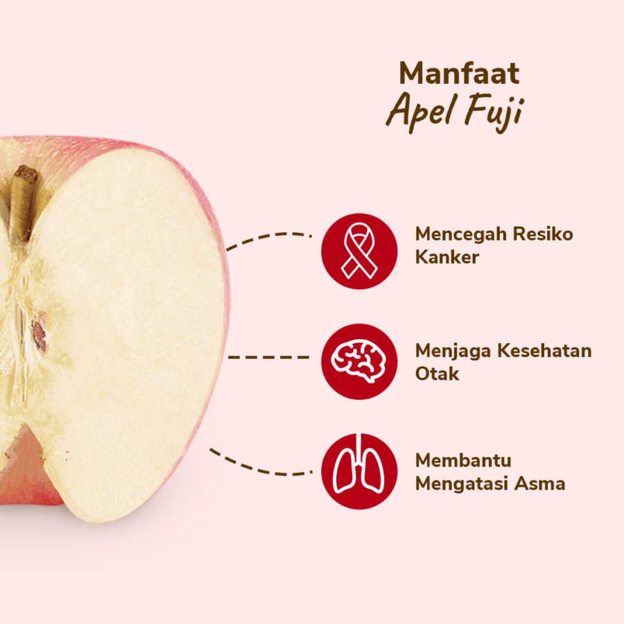 Apel Fuji Astro Farm 2-3 pcs 450-550 gram
