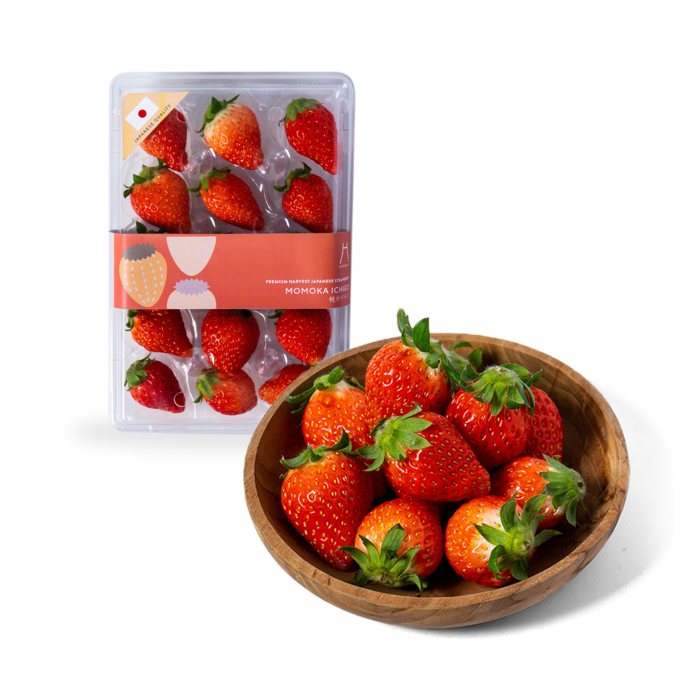 Hyoshii Strawberry Premium Momoka Ichigo Size M